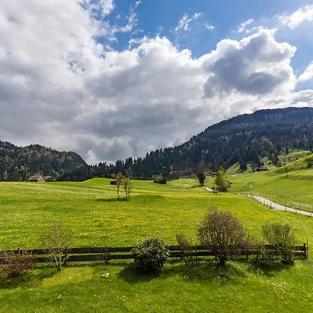 Appartement Berktold Obermaiselstein